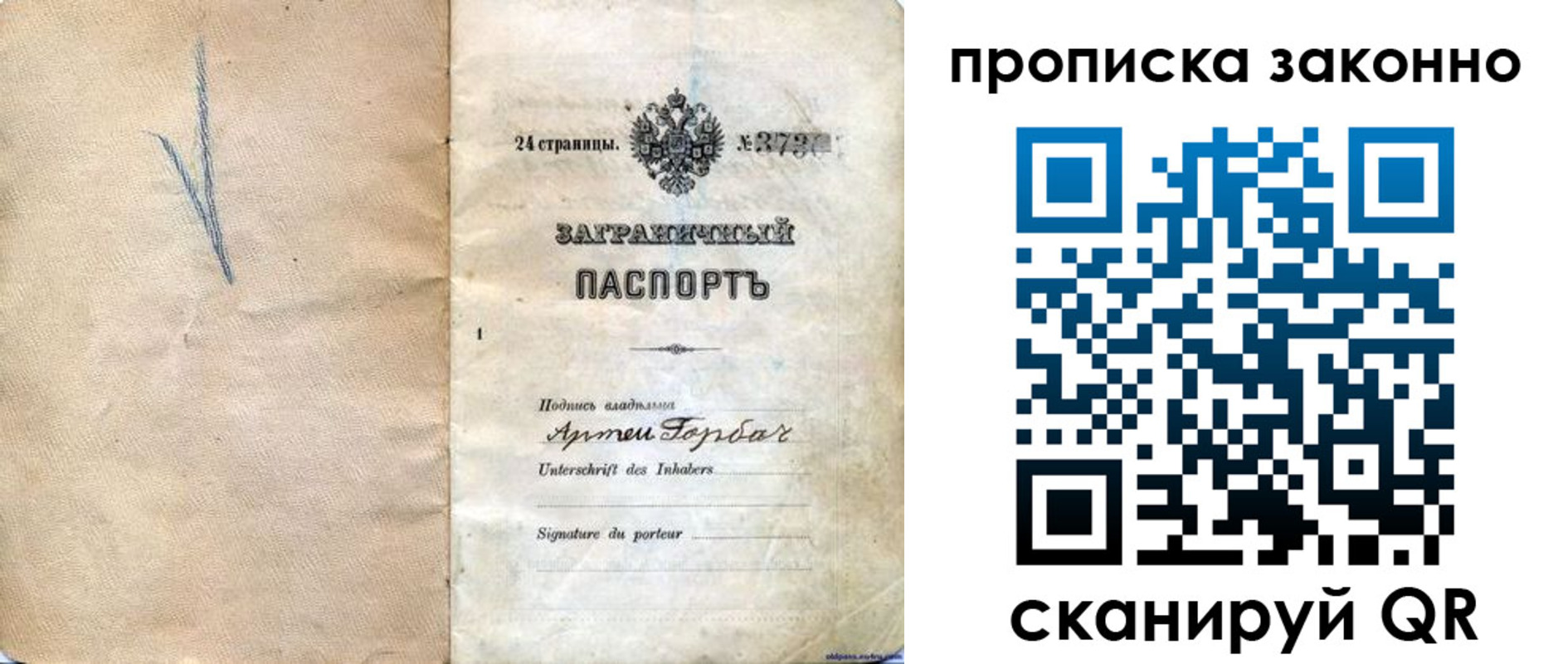 прописка 2025 в Мончегорске