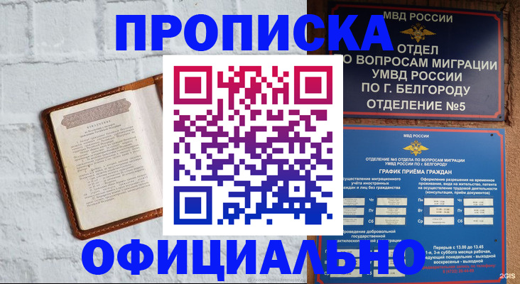 временная регистрация для школы в Мончегорске
